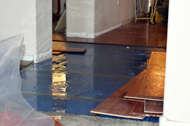 Professional Basement Water Removal technician working in Mendham, NJ